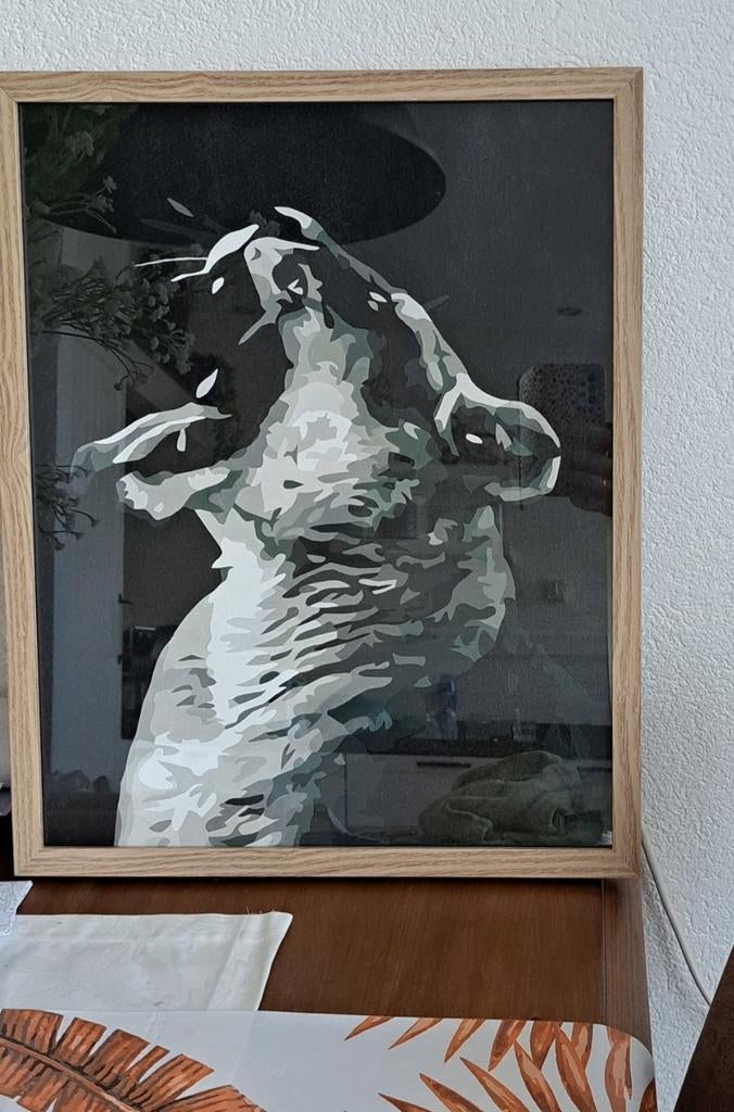 Schilderij, Huis en Inrichting, Ophalen, Zo goed als nieuw