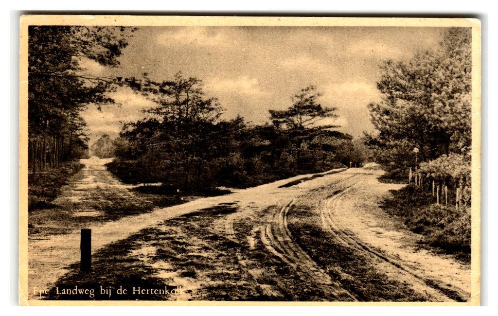 Epe, Landweg bij de Hertenkolk, Verzenden, 1940 tot 1960, Gelopen, Gelderland