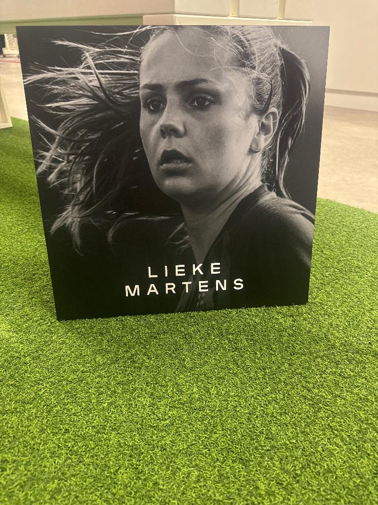 Kunststof afbeelding Lieke Martens, Ophalen of Verzenden, Zo goed als nieuw