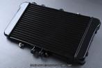 Radiateur AVDB voor HONDA NTV 600 650 REVERE 1988 - 1997, Ophalen of Verzenden, Nieuw