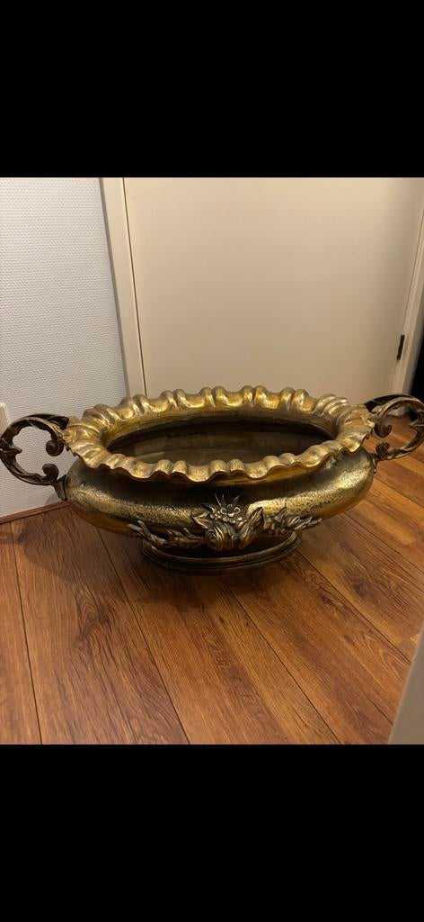 Ovaalschaal, Ophalen