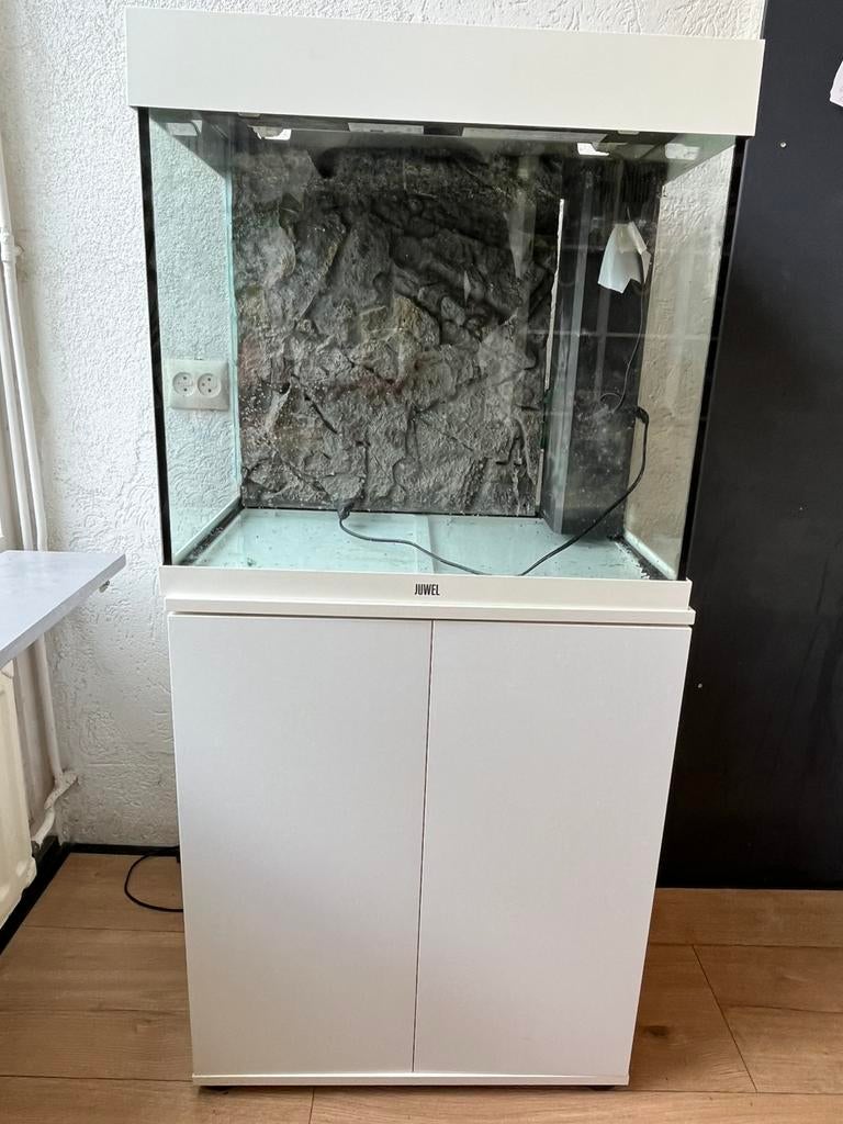 Juwel Lido 120 aquarium, Dieren en Toebehoren, Vissen | Aquaria en Toebehoren, Ophalen of Verzenden, Gebruikt, Leeg aquarium