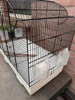 Ferplast Vogelkooi Canto in 2e te delen, Dieren en Toebehoren, Vogels | Hokken en Kooien, Ophalen, Metaal, Vogelkooi