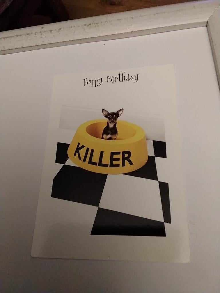 KILLER / Kleine hond ( chihuahua) in een gele voerbak, Ophalen of Verzenden, Voor 1920, Overige thema's