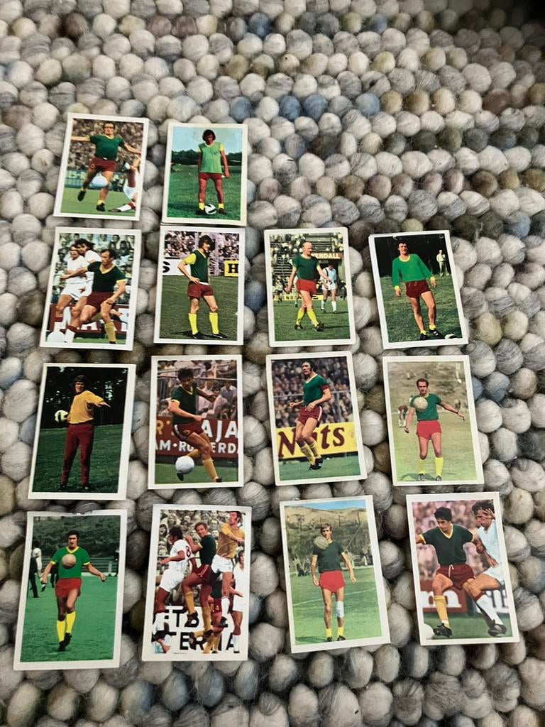 Fc den haag panini vanderhout 1972-1973, Ophalen of Verzenden, Gebruikt, Poster, Plaatje of Sticker