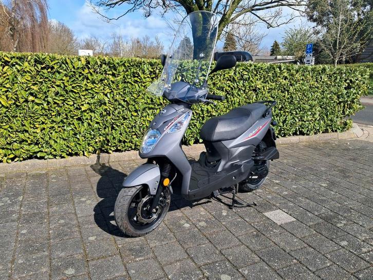 SYM ORBIT II 2019 - Rijklaar, Grote Beurt, Nieuwe Band, Fietsen en Brommers, Scooters | SYM, Gebruikt, Orbit, Maximaal 45 km/u