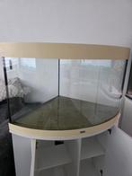 Aquarium juwel trigon 190, Ophalen of Verzenden, Gebruikt, Leeg aquarium