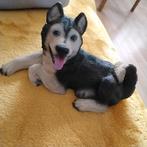 Husky hond beeld, Ophalen of Verzenden, Zo goed als nieuw, Dier