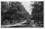 Lunteren Bos Oude Gelopen Ansichtkaart (B646 ), Ophalen of Verzenden, 1920 tot 1940, Gelopen, Gelderland