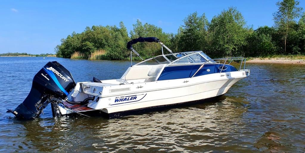 Cutter Pro Fisher 19ft. Mercury 90 salt water, Gebruikt, 6 meter of meer, Ophalen, 70 pk of meer