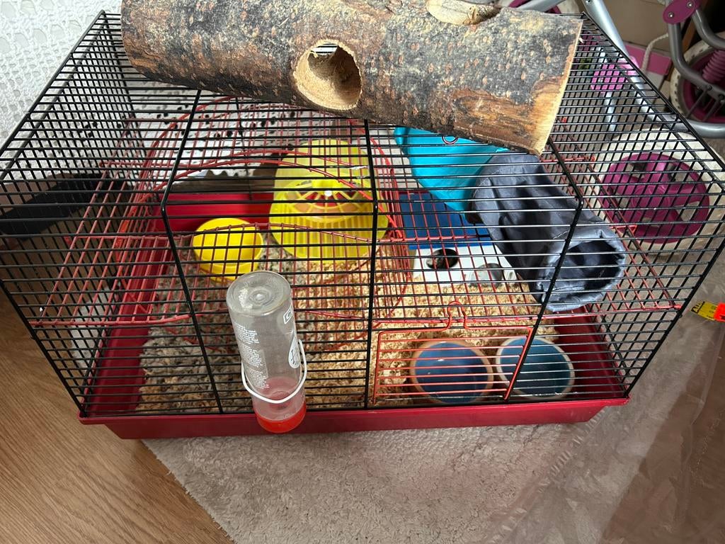 Hamster kooitje, Kooi, Minder dan 75 cm, Zo goed als nieuw, Hamster