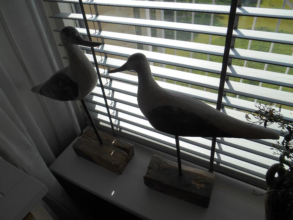 houten weide vogels   zo leuk, Ophalen of Verzenden
