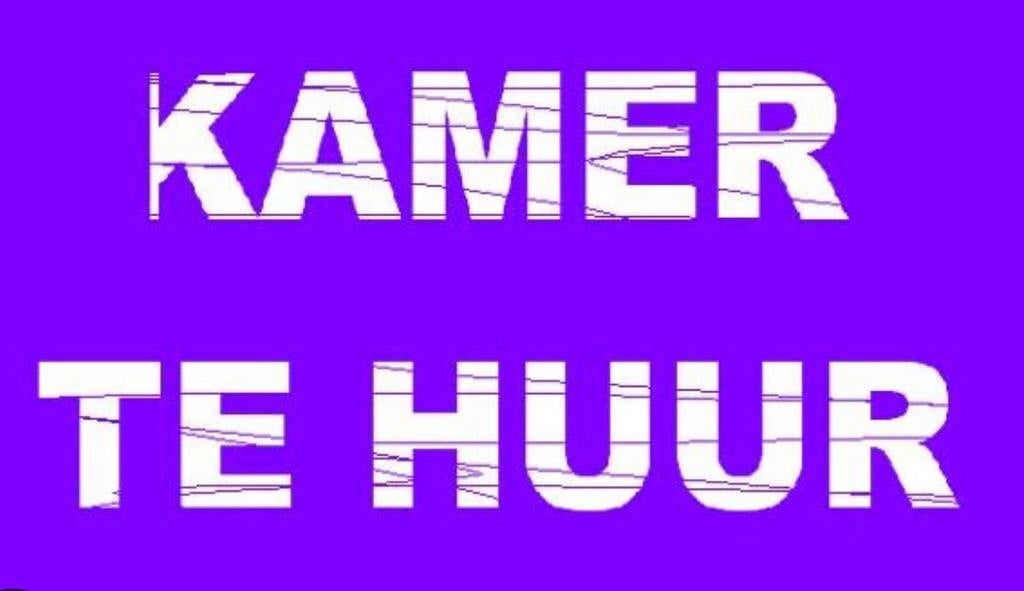 Kamer te huur