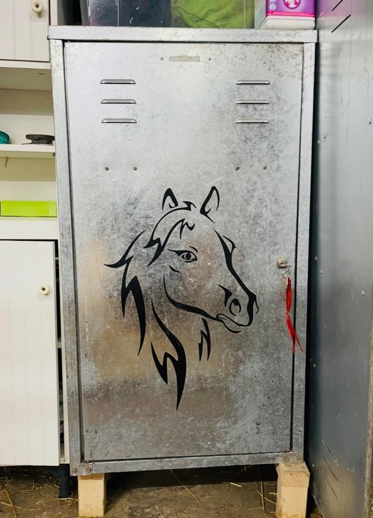 Zadel kast paard saddlery cabinet 2 zadels, Ophalen, Gebruikt, Overige soorten