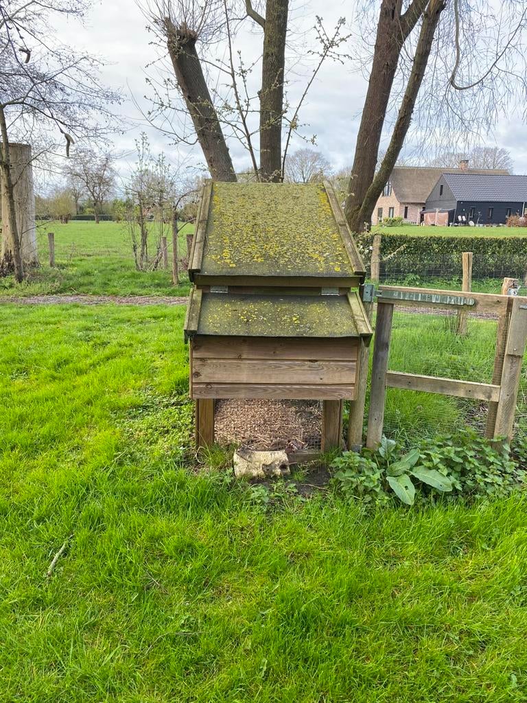 Robuust kippenhok €75,-, Dieren en Toebehoren, Ophalen, Zo goed als nieuw, Kippenhok of Kippenren