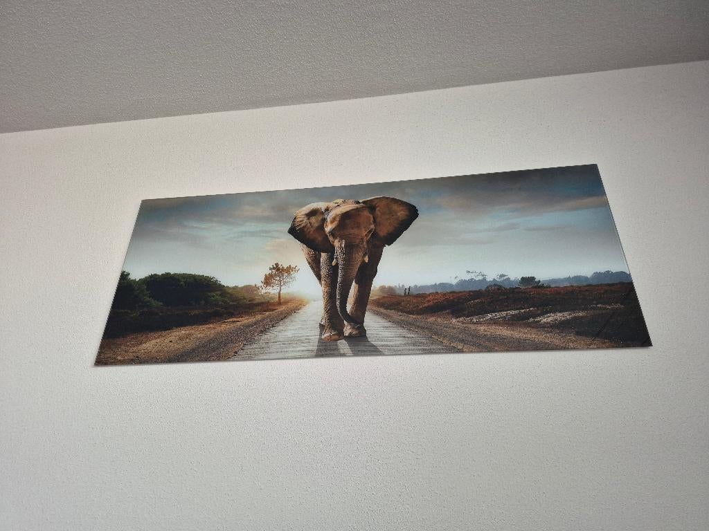 Schilderij glas olifant, Ophalen, Zo goed als nieuw