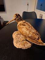 Leuke opgezette houtsnip vogel taxidermie, Ophalen of Verzenden, Gebruikt, Vogel, Opgezet dier