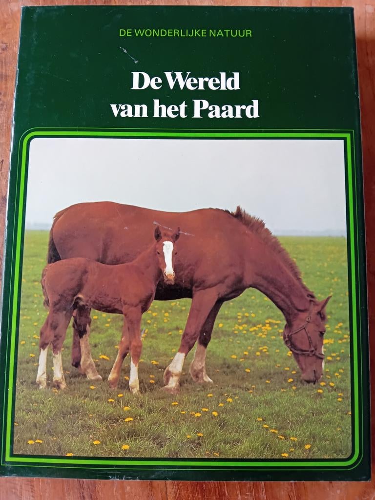 De Wereld van het Paard - Prachtig Geïllustreerd Boek, Ophalen of Verzenden, Gelezen, Paarden of Pony's, Onbekend