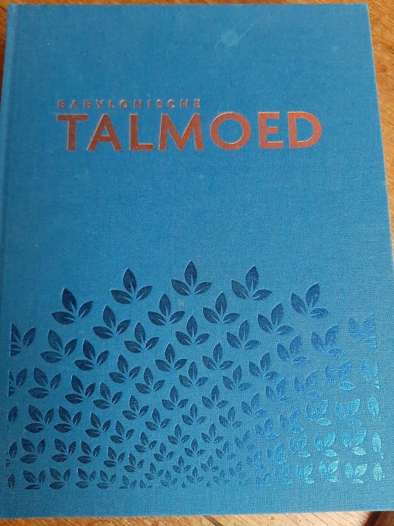 Talmoed Sanhedrien, band I en II (Hfst 1-6), Ophalen of Verzenden