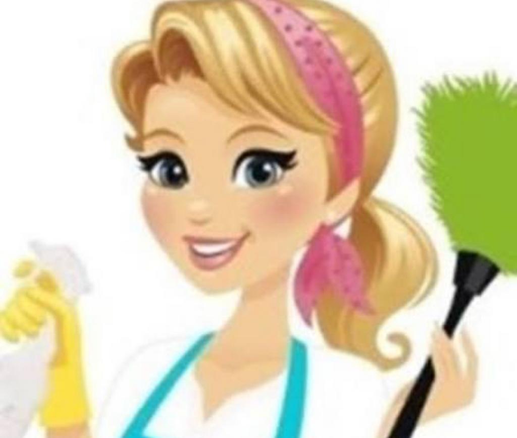 Huishoudelijke hulp, Diensten en Vakmensen, Schoonmakers en Glazenwassers, Schoonmaken woning