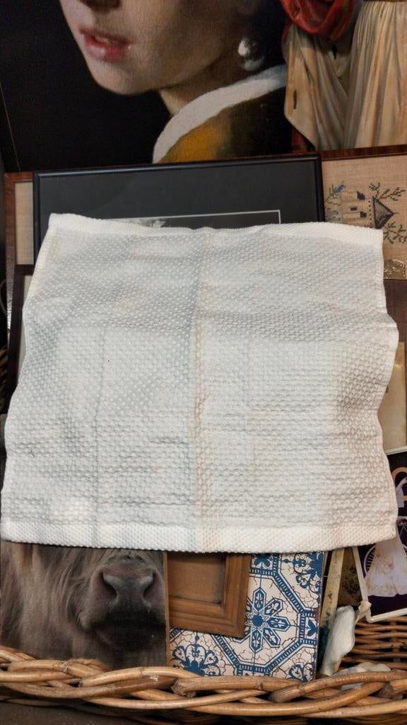 Leuke doek wit geblokt. Shabby brocante, Antiek en Kunst, Ophalen of Verzenden