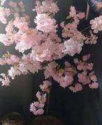 Kunst Bloesemboom - Roze Bloesem, Huis en Inrichting, Woonaccessoires | Kunstplanten en Kunstbloemen, Ophalen of Verzenden, Zo goed als nieuw