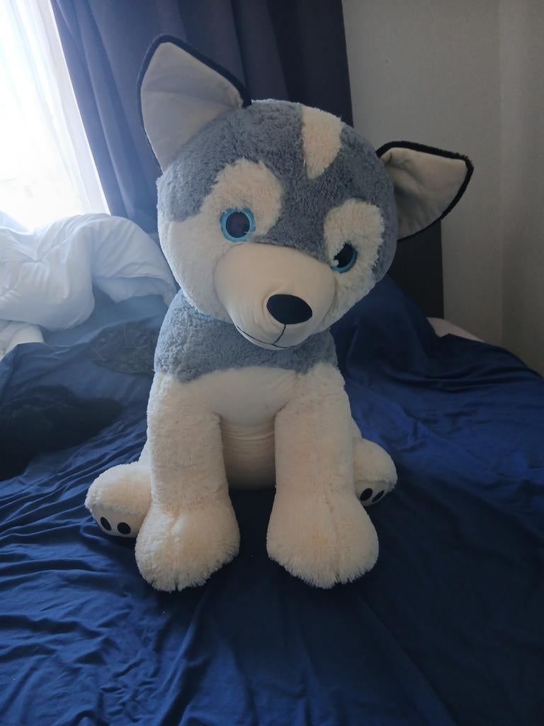 Grote Husky Knuffel - Zo Goed als Nieuw, Grijs, Zo goed als nieuw, Middelgroot (20 tot 80 cm), Hond
