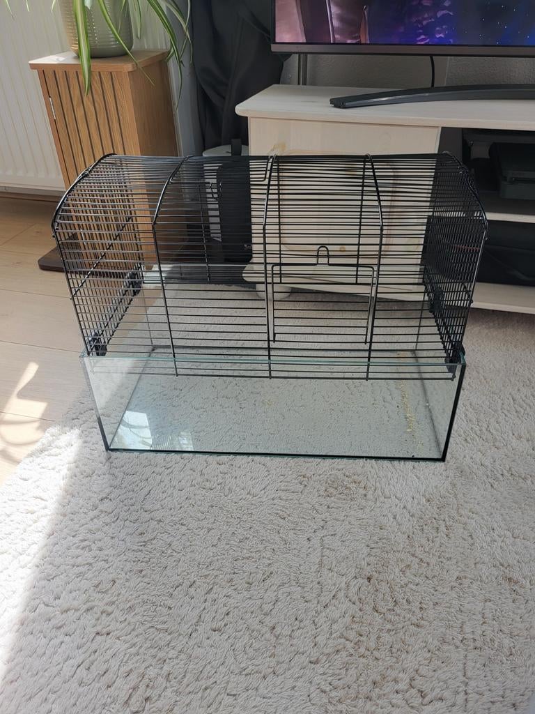 Kooi gratis, Kooi, Minder dan 75 cm, Muis, Ophalen