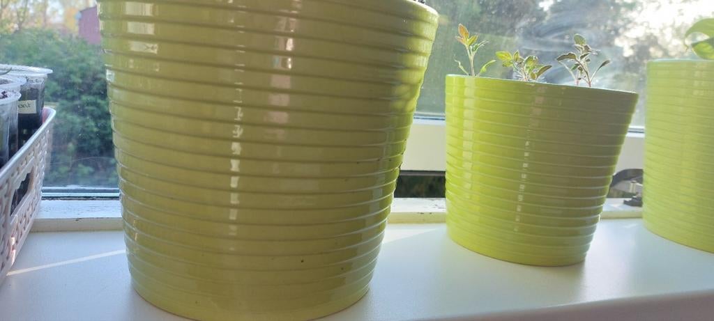 Gezocht groene plantenbakken, Steen, Rond, Ophalen of Verzenden, Minder dan 40 cm