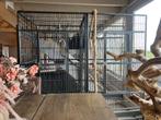 Enorme strong Amalia papegaaien ara kooi Kan in teee delen, Dieren en Toebehoren, Ophalen, Gebruikt, Metaal, Overige typen