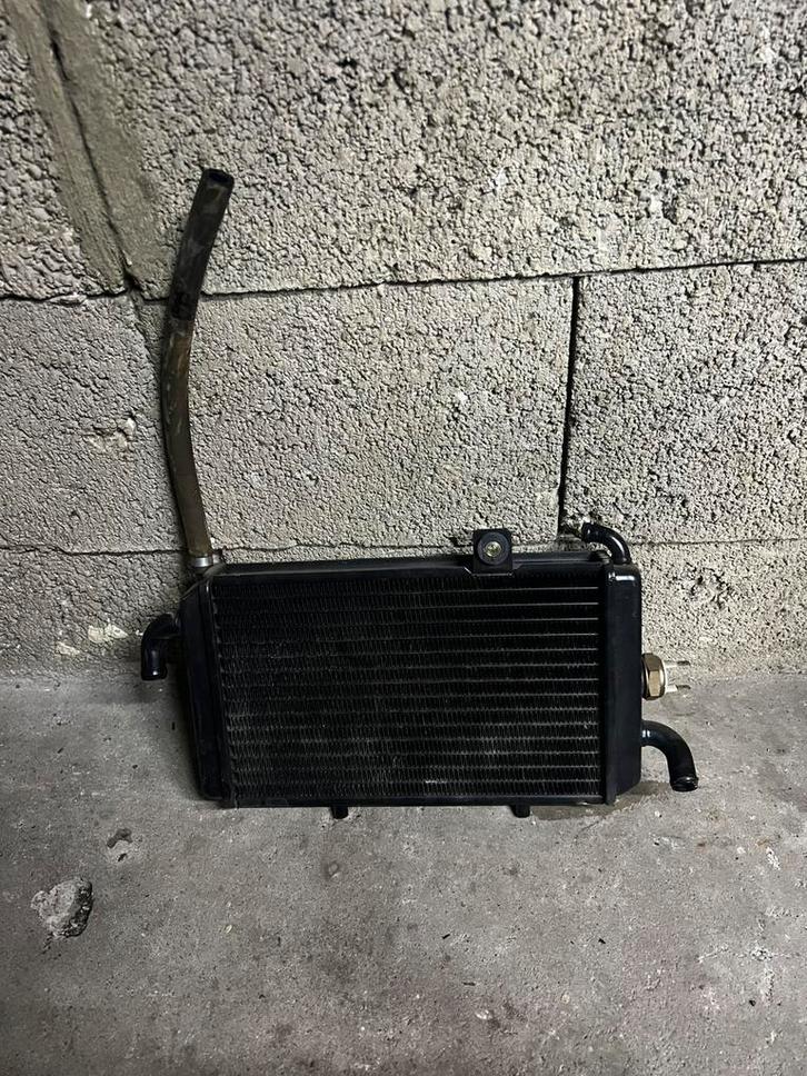 Piaggio hexagon radiateur, koelfan & kvs tank, Motoren, Tuning en Styling, Ophalen of Verzenden