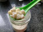 Bio melk kefir korrels, Diversen, Levensmiddelen, Verzenden