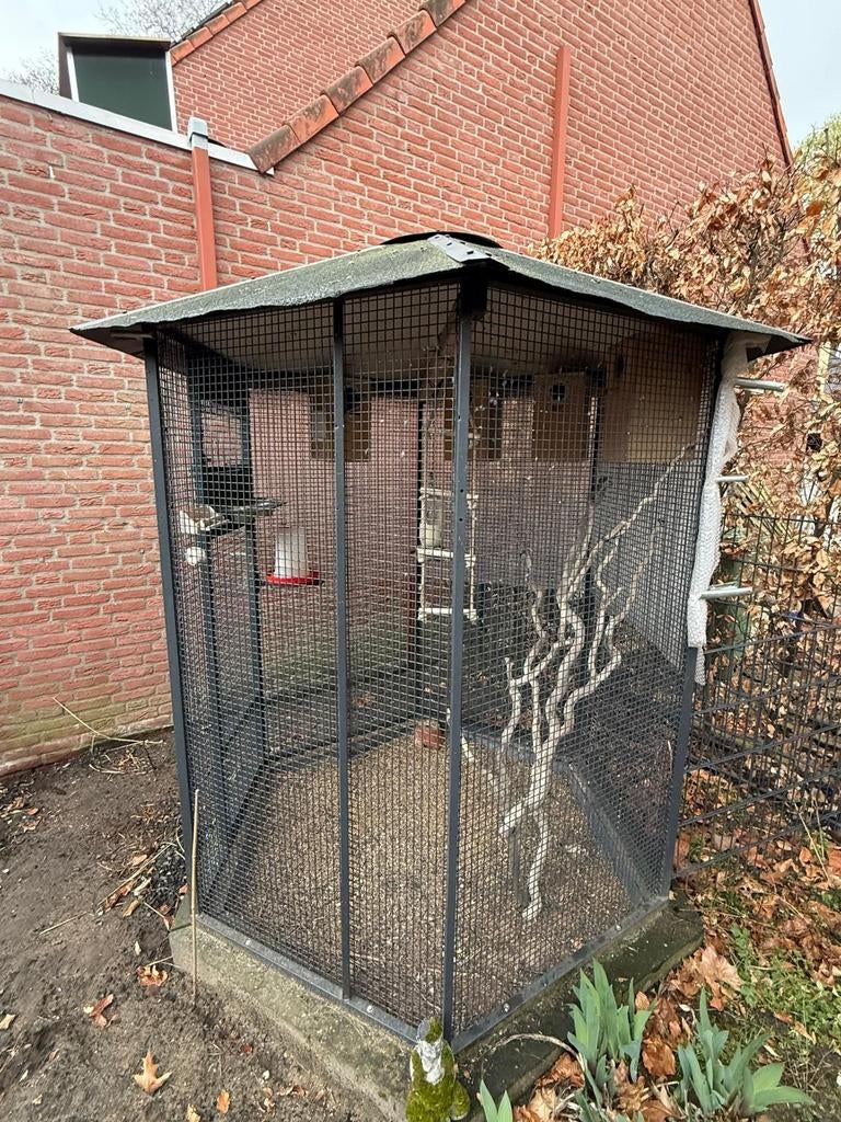 6 kantige voliere van staal in antraciet, Dieren en Toebehoren, Vogels | Hokken en Kooien, Ophalen, Metaal, Volière