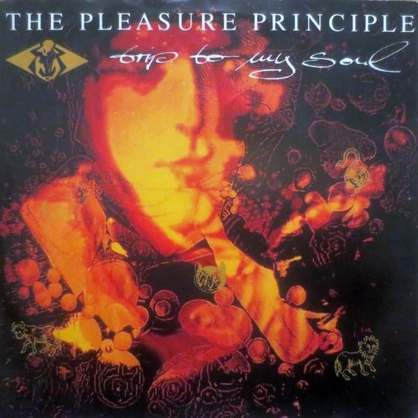 the pleasure principle/trip to my soul-psych/punk/new wave, Gebruikt, Verzenden, 7 inch, Single