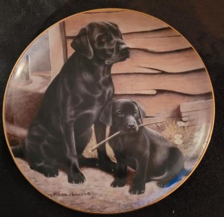 fijn porselein Franklin Mint Heirloom Collection, Ophalen of Verzenden