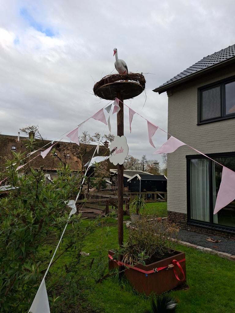 Ooievaar met nest op paal, Ophalen