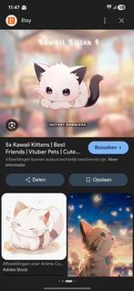 GEZOCHT  kitten wit zwart / tuxedo man