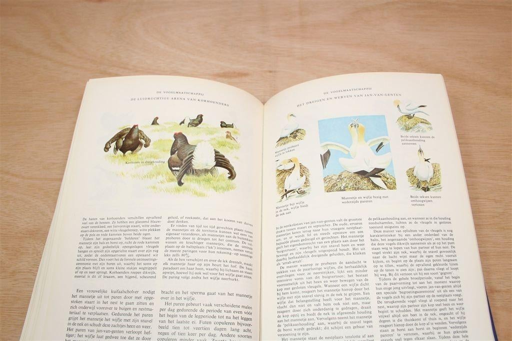 Het Beste Vogelboek — ANWB — Rijk Geïllustreerd, Ophalen of Verzenden, Gelezen, Vogels