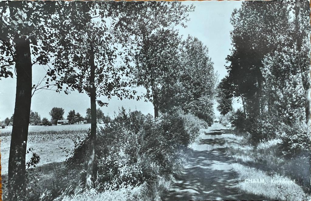 Chaam, Kerkdreef jaren '60, Verzenden, 1960 tot 1980, Gelopen, Noord-Brabant