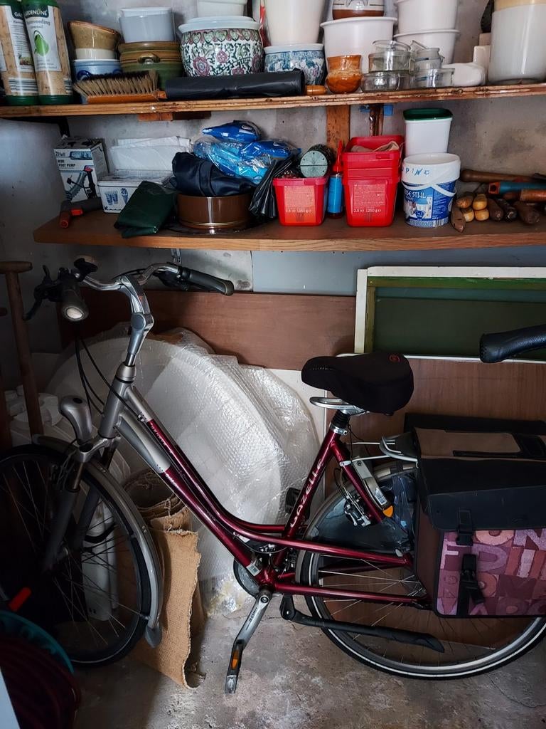 Damesfiets Gazelle rood, Ophalen