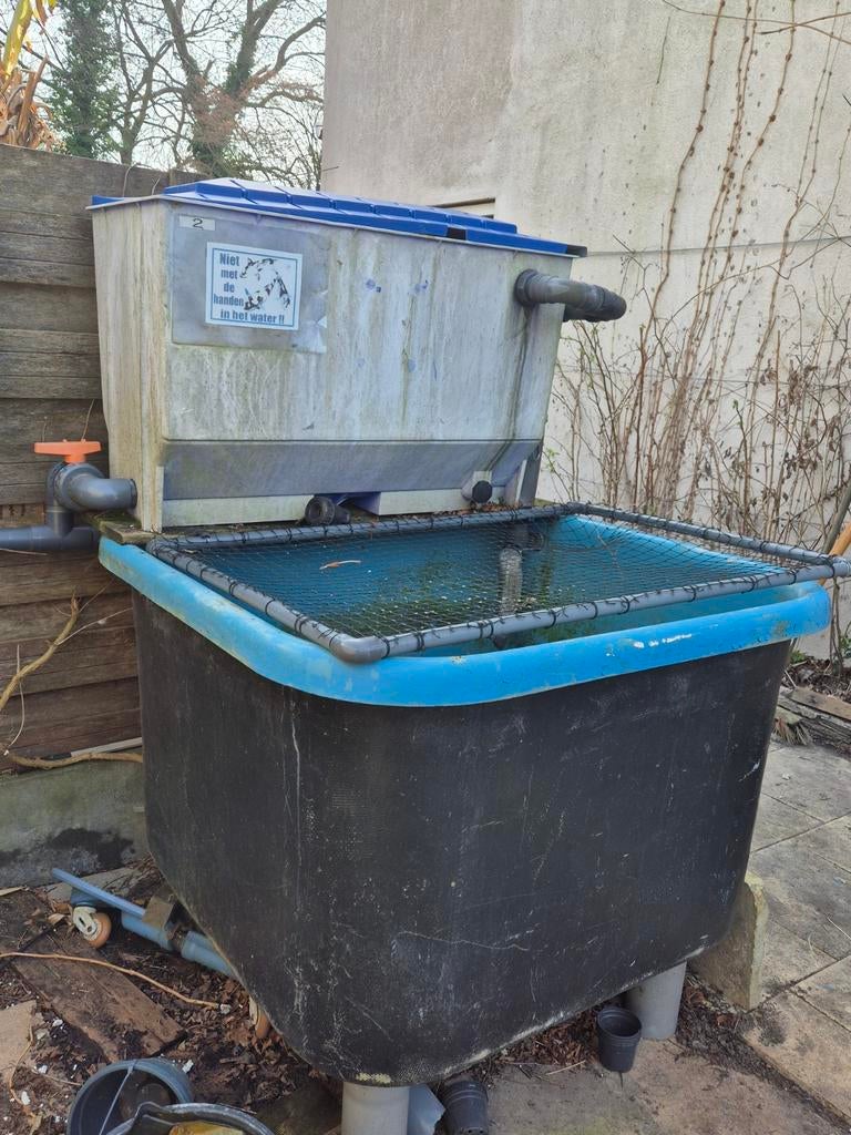 Kweek/ quarantaine bak, Ophalen of Verzenden