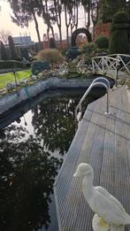 Gezocht: Vijver folie plaatsen, Tuin en Terras, Ophalen of Verzenden