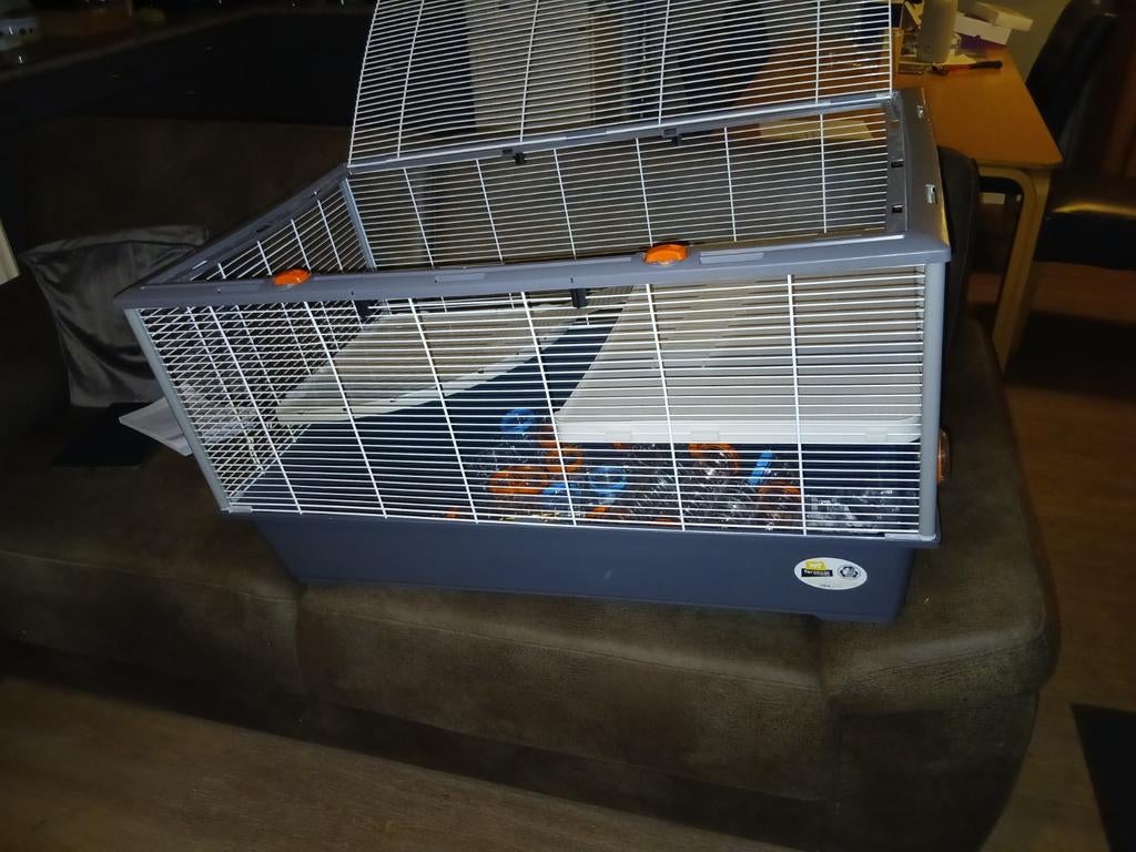 ferplast knaagdierenkooi criceti 100, Dieren en Toebehoren, Kooi, Gebruikt, Muis, 75 tot 110 cm