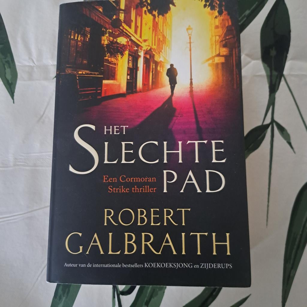 Het Slechte Pad - Robert Galbraith, Boeken, Ophalen of Verzenden
