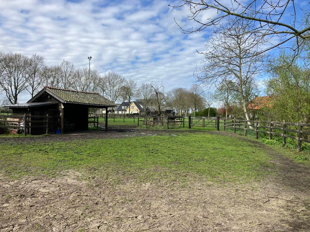 Wei met schuilstal, zadelhok en hooiopslag in Erp, Weidegang, 2 of 3 paarden of pony's