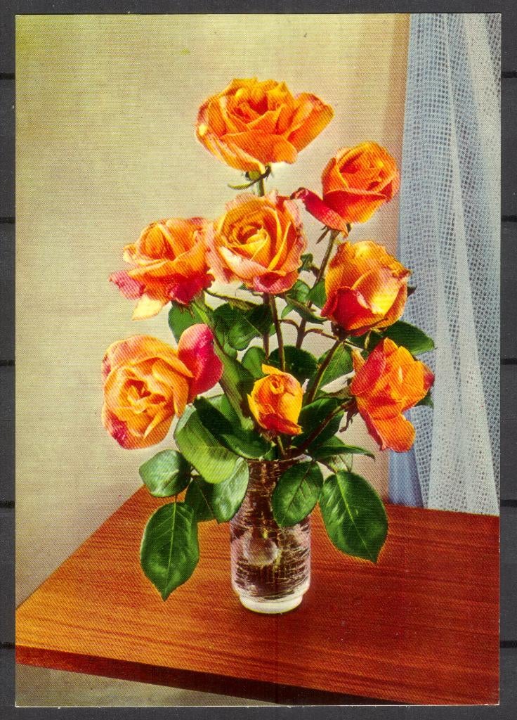 Bloemen - rozen, Verzenden, 1960 tot 1980, Ongelopen, Overige thema's