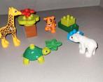 Duplo 10801 Jonge Dieren - Compleet, Ophalen of Verzenden, Gebruikt, Complete set, Duplo