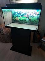 Aquarium te koop, Ophalen, Zo goed als nieuw, Leeg aquarium