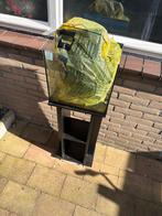 vis aquarium & meubel, Ophalen, Gebruikt, Leeg aquarium