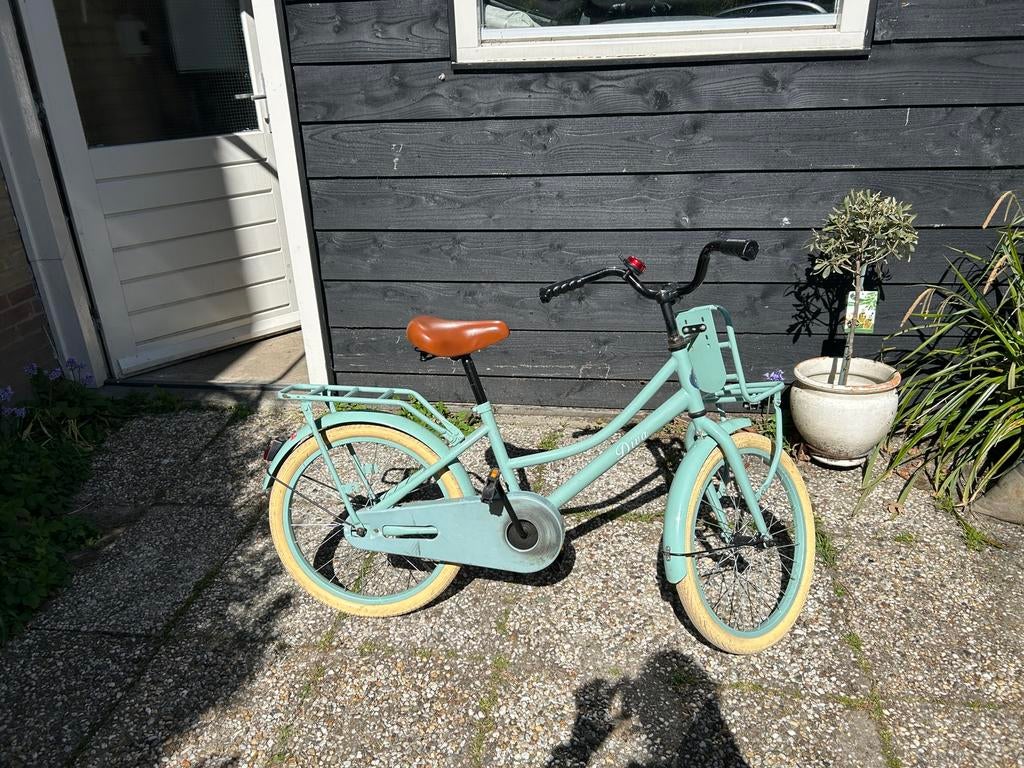 Meisjesfiets mintgroen 20-inch, Ophalen, Gebruikt, Terugtraprem, 20 inch